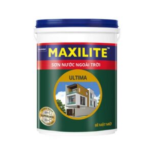 son-maxilite